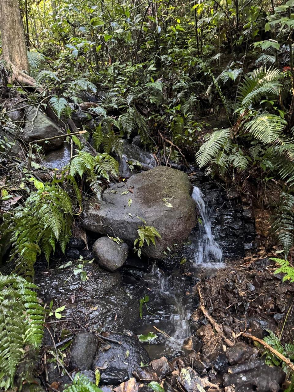 Chale Recanto Do Frassetto Sideropolis Bagian luar foto
